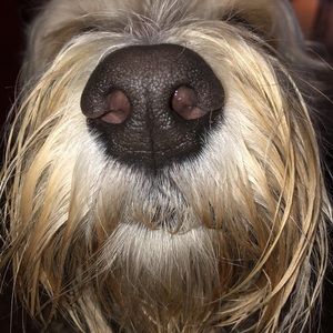 Meet your Posher, Georgia